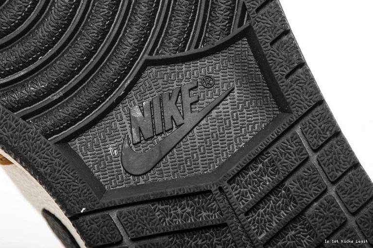 555088-700 of Rookie Year Jordan Air 1 the 0910